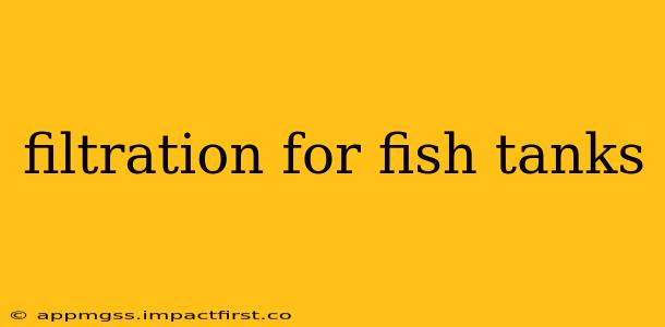 filtration for fish tanks