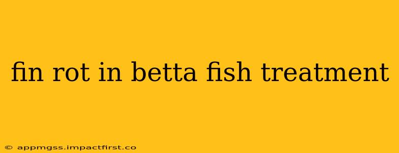 fin rot in betta fish treatment