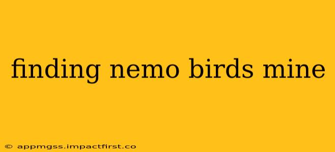 finding nemo birds mine