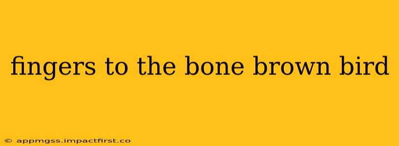 fingers to the bone brown bird