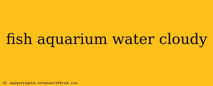 fish aquarium water cloudy