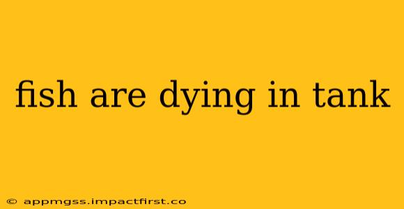 fish are dying in tank