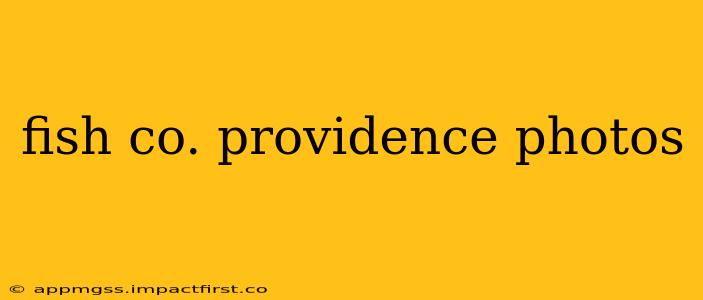fish co. providence photos