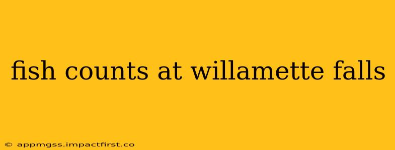 fish counts at willamette falls