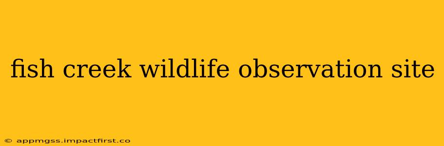 fish creek wildlife observation site