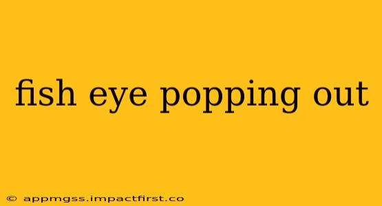 fish eye popping out