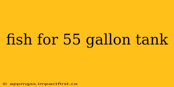 fish for 55 gallon tank