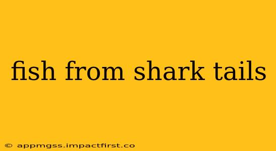 fish from shark tails