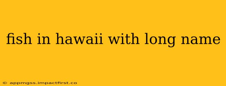 fish in hawaii with long name
