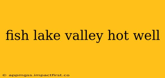 fish lake valley hot well