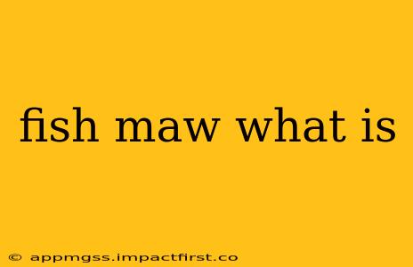 fish maw what is