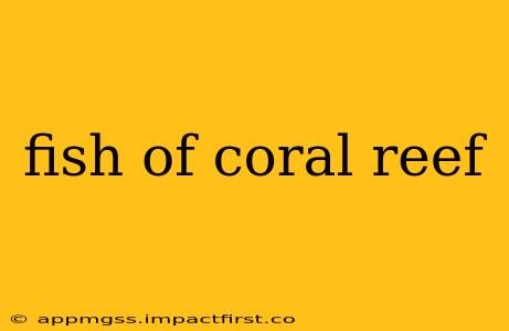 fish of coral reef