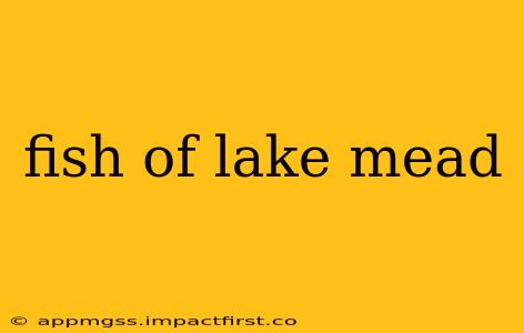 fish of lake mead