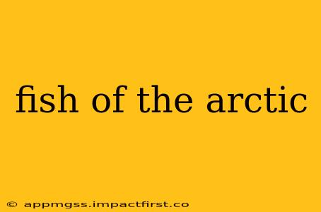 fish of the arctic