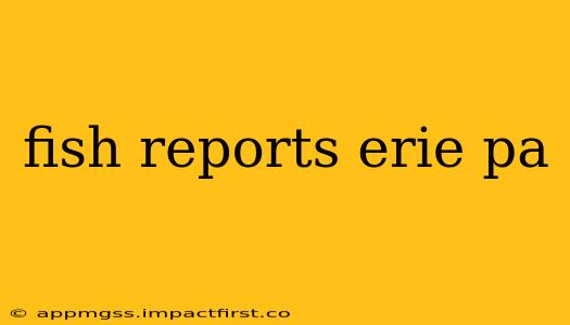 fish reports erie pa