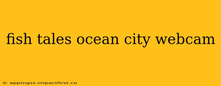 fish tales ocean city webcam