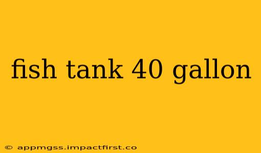 fish tank 40 gallon