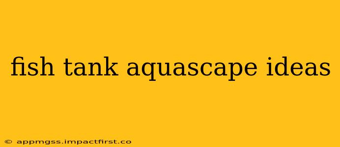 fish tank aquascape ideas