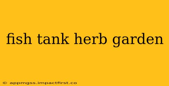 fish tank herb garden
