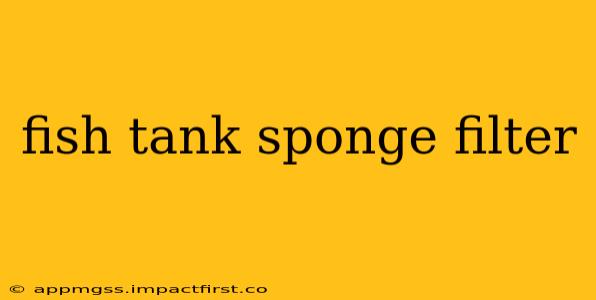 fish tank sponge filter
