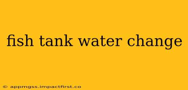fish tank water change