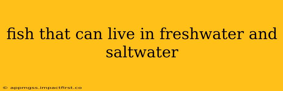 fish that can live in freshwater and saltwater