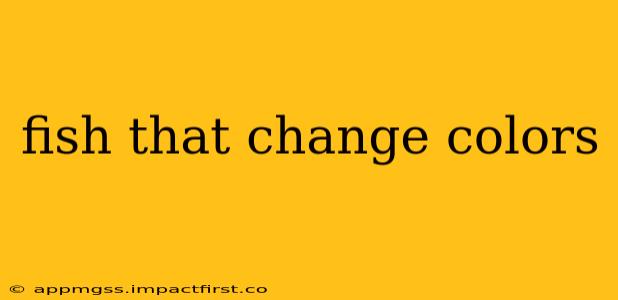 fish that change colors