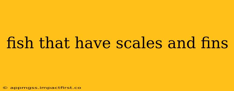fish that have scales and fins