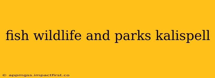 fish wildlife and parks kalispell