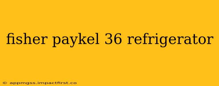 fisher paykel 36 refrigerator