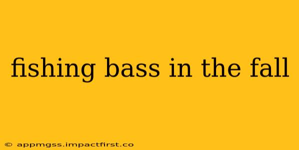 fishing bass in the fall