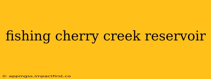 fishing cherry creek reservoir