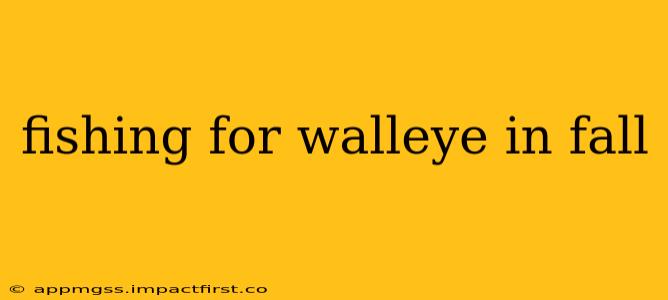 fishing for walleye in fall
