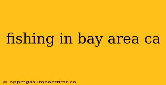 fishing in bay area ca