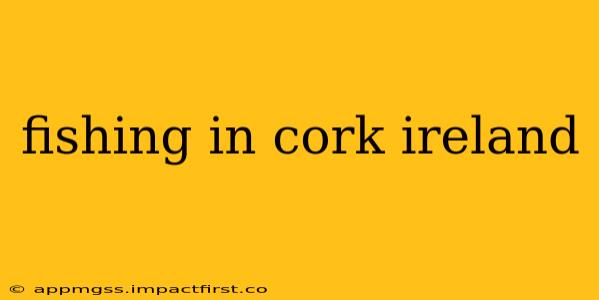 fishing in cork ireland