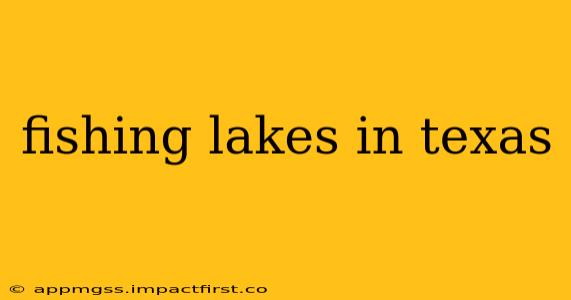 fishing lakes in texas