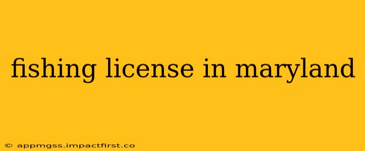fishing license in maryland
