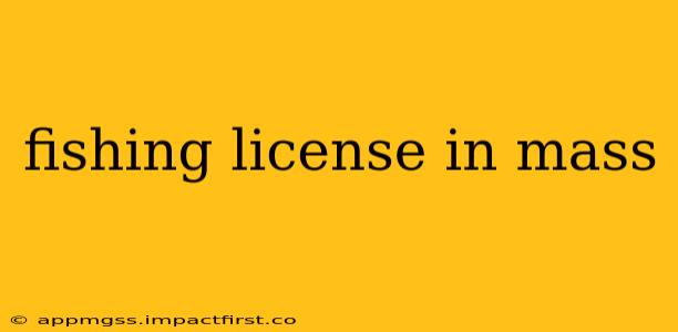 fishing license in mass