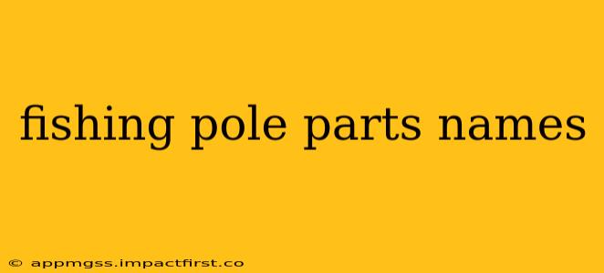 fishing pole parts names