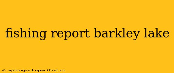 fishing report barkley lake
