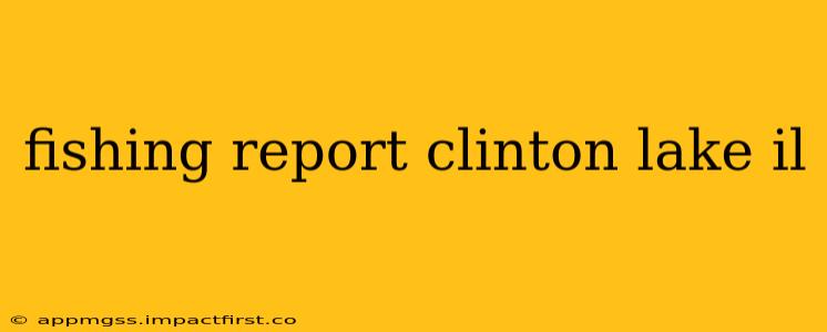 fishing report clinton lake il