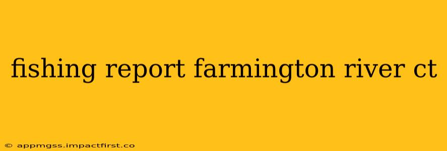 fishing report farmington river ct