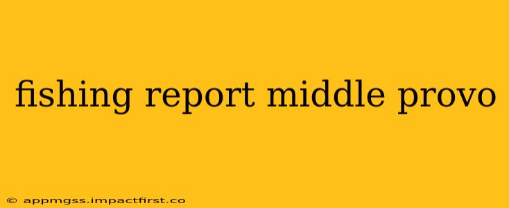 fishing report middle provo