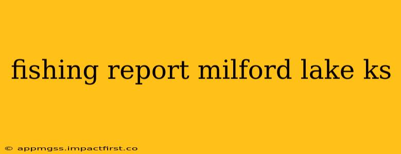 fishing report milford lake ks