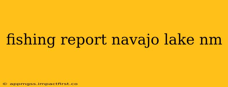 fishing report navajo lake nm