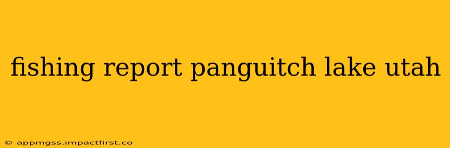 fishing report panguitch lake utah