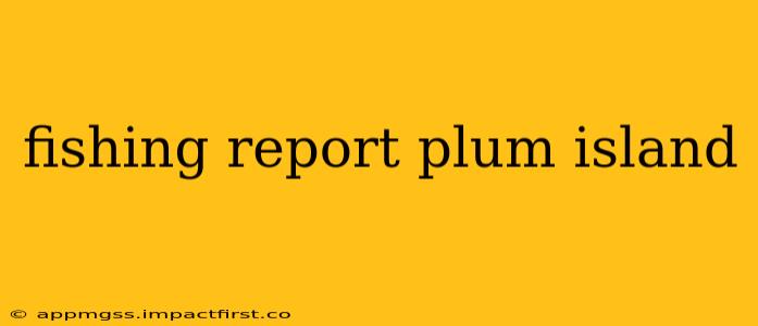 fishing report plum island