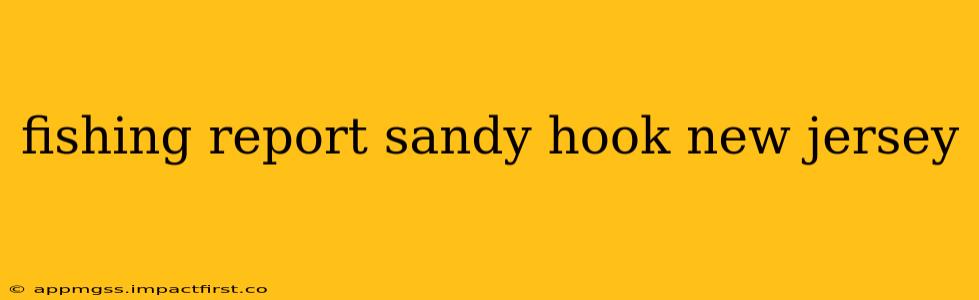 fishing report sandy hook new jersey