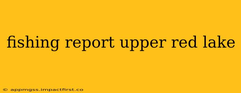 fishing report upper red lake