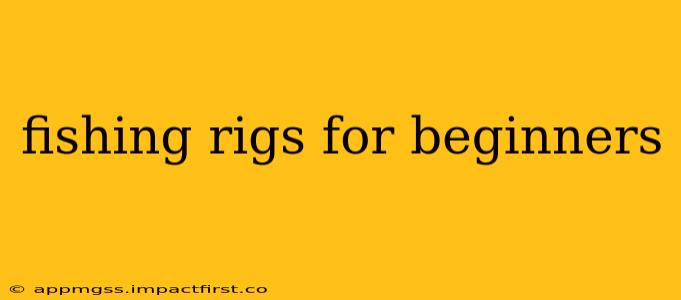 fishing rigs for beginners